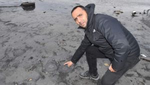 Marmara Ereğlisi'nde vatandaşı panik eden görüntü