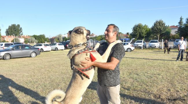 Köpek ırkları kıyasıya yarıştı