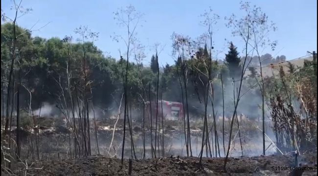 Yolçatı da anız yangını