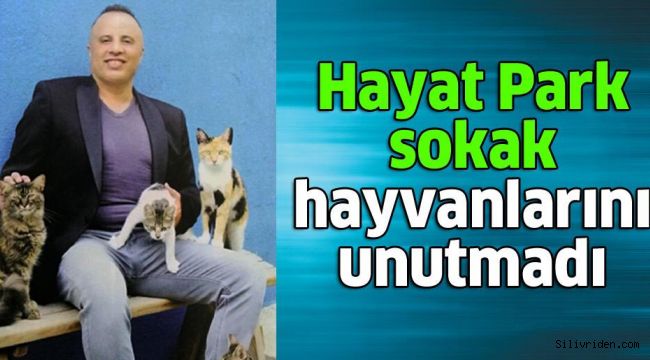 Hayat Park'tan sokak hayvanları için büyük proje