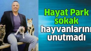 Hayat Park'tan sokak hayvanları için büyük proje