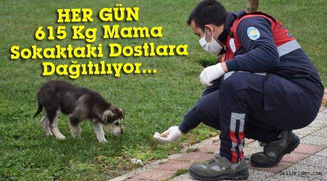 Her gün 615 kg mama sokaktaki dostlara dağıtılıyor