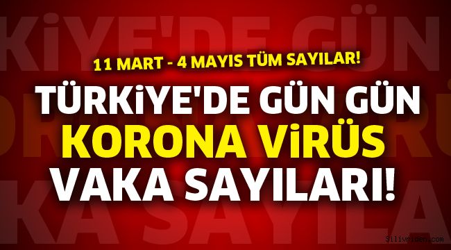 Türkiye'de gün gün korona virüs vaka sayıları! 