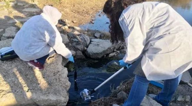 Silivri'de balık ölümlerinin yaşandığı dereden numune alındı