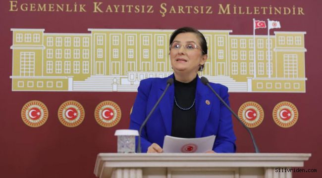 Tülay Kaynarca'dan Kavaklı açıklaması: CHP bu projeye neden karşı çıkıyor?