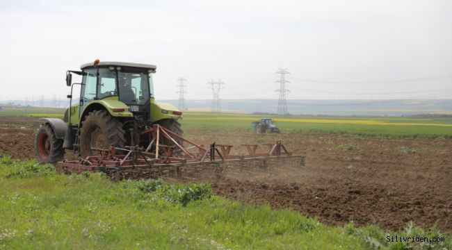 Silivri Belediyesi silajlık mısır ekti