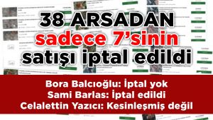 38 arsadan sadece 7'sinin satışı iptal edildi