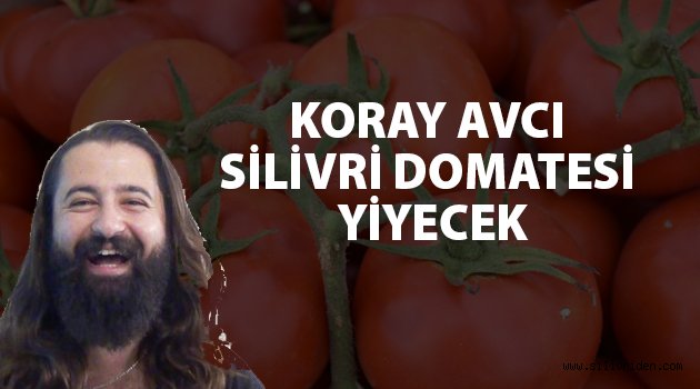 Değirmenköy Domates Festivali 12 Ağustos'ta