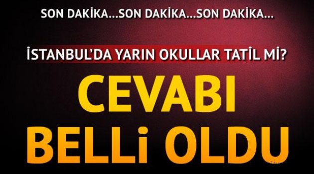 Okullar tatil edildi