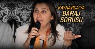 Kaynarca'dan 1 Kasım yorumu