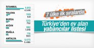 Araplar Türkiye'yi seçiyor