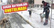 Sokak hayvanları unutulmadı